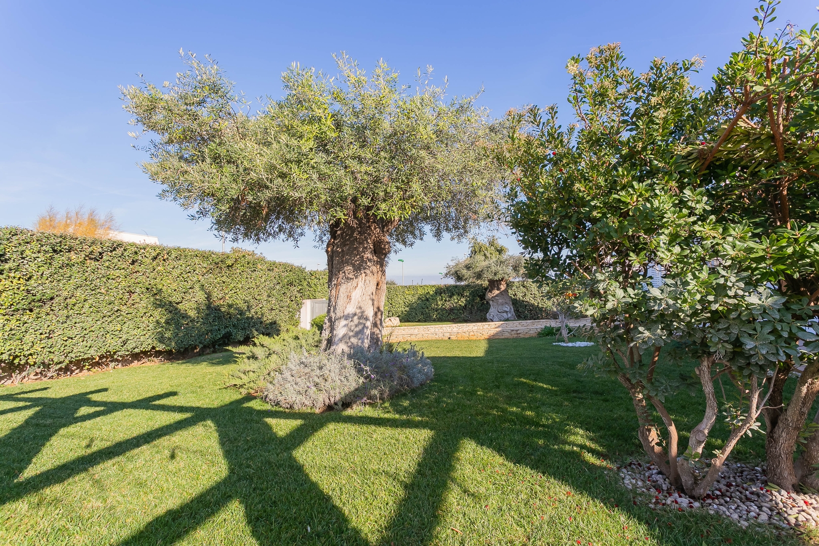 Villa Lucilla – Polignano a Mare 67 Villas in Italy