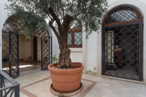 Villa Licea, Historic Palace In Lecce Centre 44 Villas in Italy