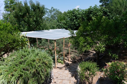 Villa Carlotta, with private pool and sea views 50 Villas in Italy