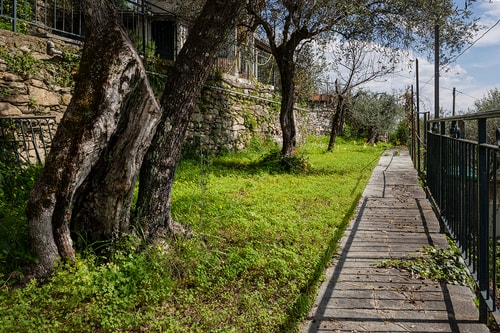 Villa Zagara - Villa with Pool near Portofino 8 Villas in Italy
