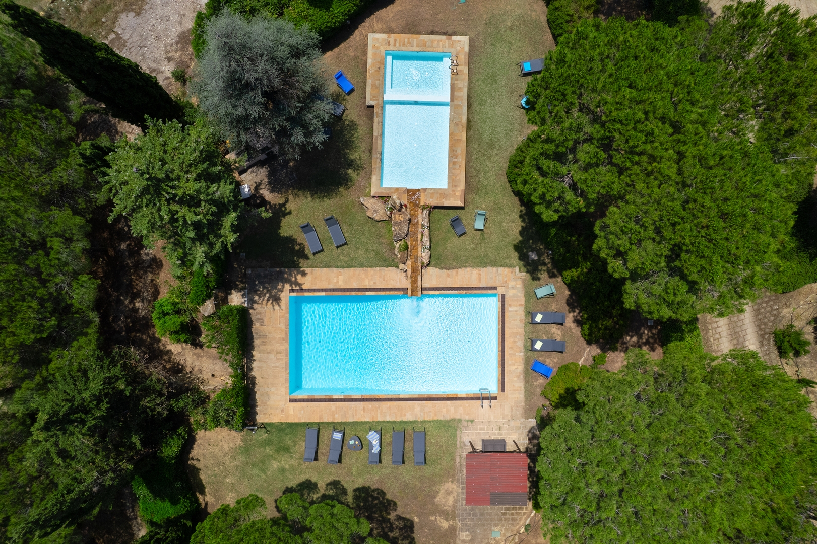 Podere Delle Vigne, in the Vineyards of Maremma 49 Villas in Italy