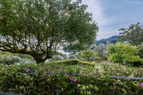 Villa Brio - villa with private pool near Portofino 34 Villas in Italy