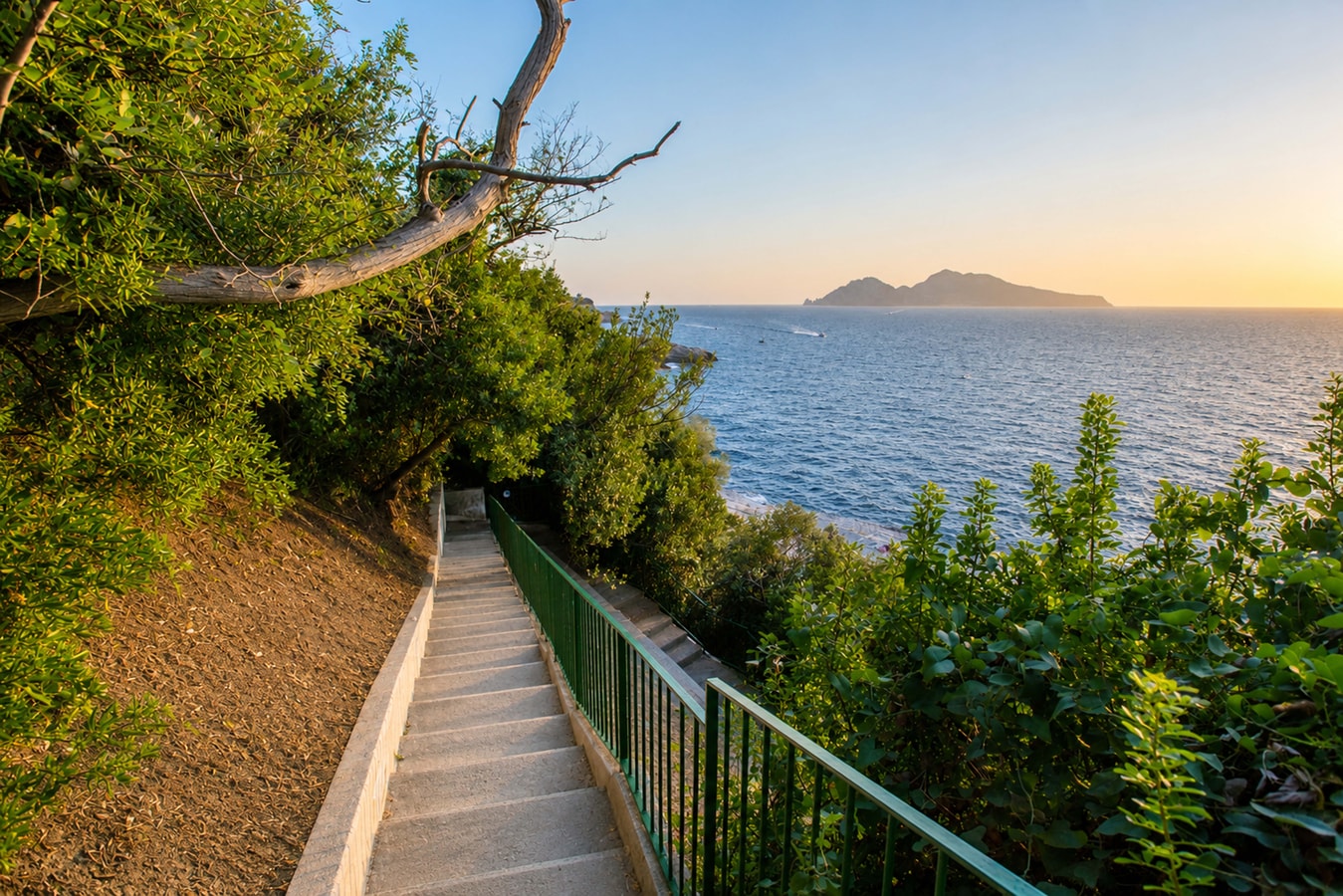 Villa Albi, Private Villa with Shared Pool 54 Villas in Italy