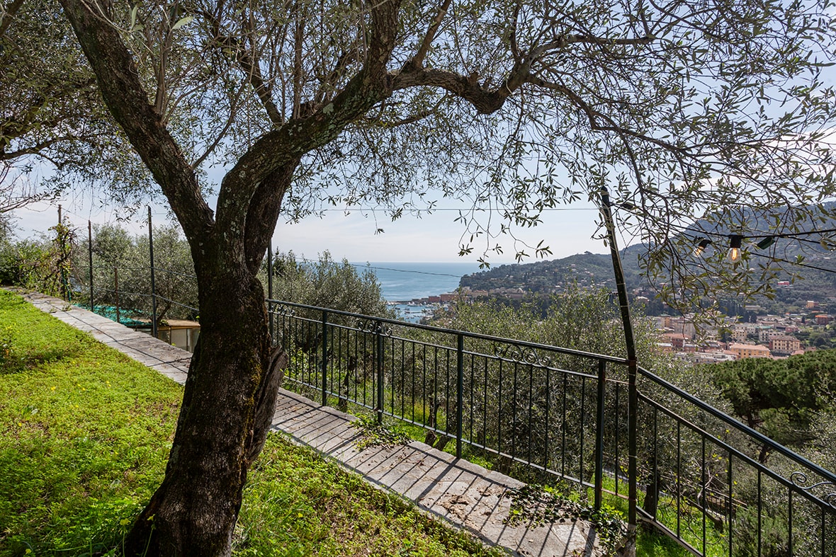 Villa Zagara - Villa with Pool near Portofino 26 Villas in Italy