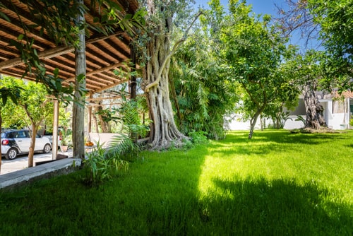 La Limonaia - Family Villa with Garden in Sorrento 1 Italian Breaks