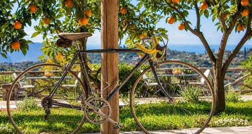 Villa Donatella, Ideal For Large Groups 45 Villas in Italy