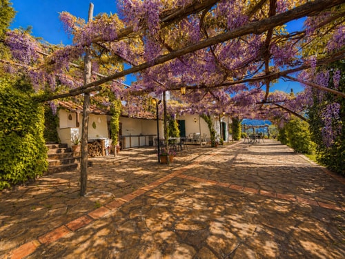 Villa Natalia - Private villa with pool 36 Villas in Italy