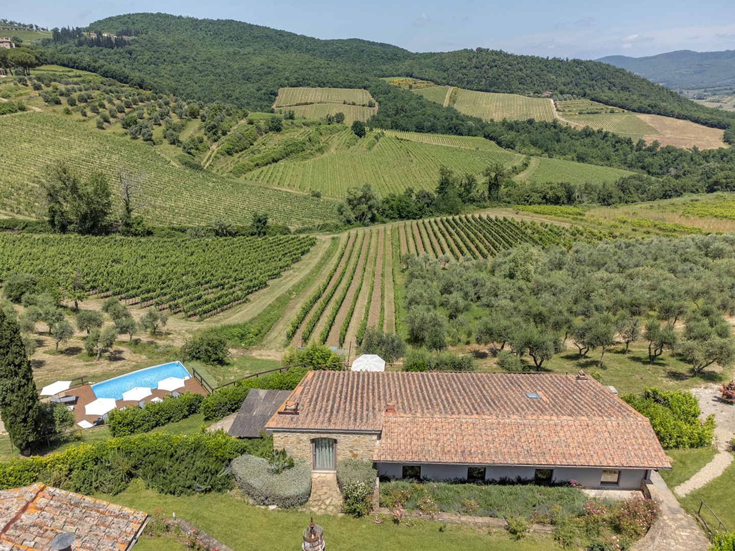 Villa with swimming pool in Tuscany 47 Villas in Italy