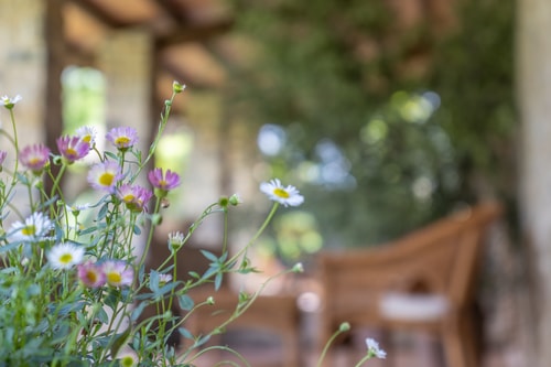 Villa Amiata - Tuscan Farmhouse with private pool 51 Villas in Italy