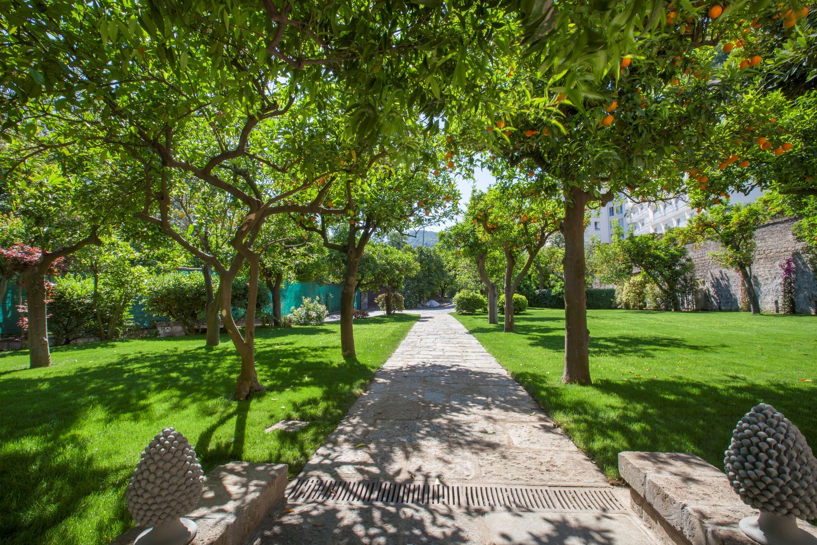 Villa Elisabetta - Sorrento city centre 7 Villas in Italy