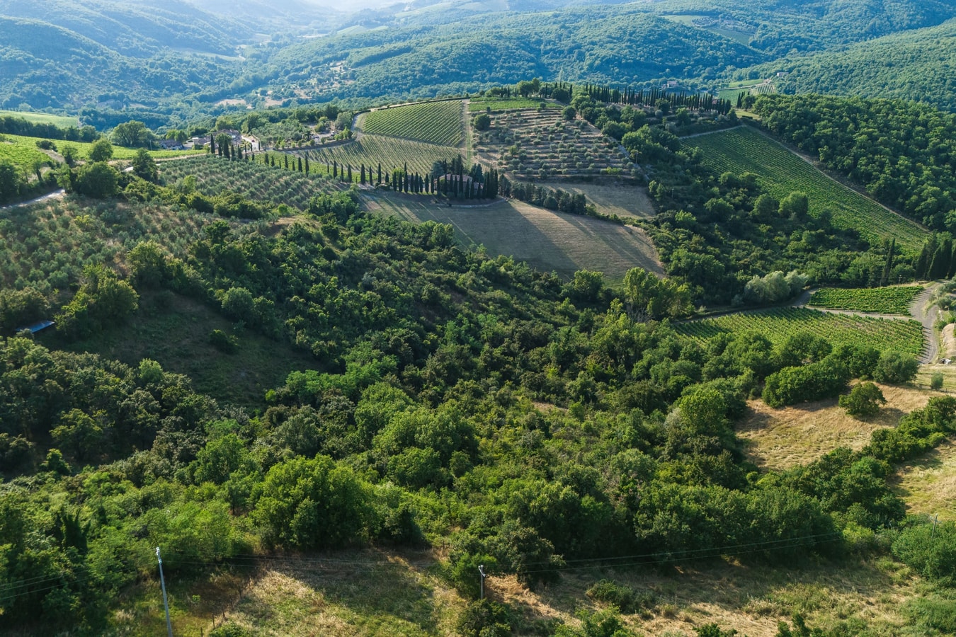 Villa Eterna, Tuscan Haven in the Heart of Chianti 1 Villas in Italy