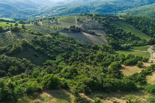 Villa Eterna, Tuscan Haven in the Heart of Chianti 1 Villas in Italy