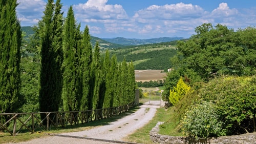 Villa Luminosa, Authentic Umbrian Charm 35 Italian Breaks