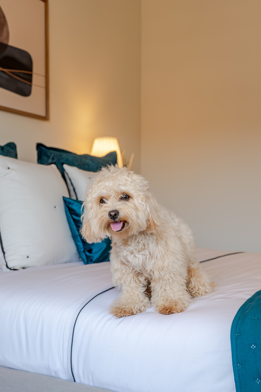Stylish, Premium & Pet Friendly Flat by HostWise 13 Host Wise Booking