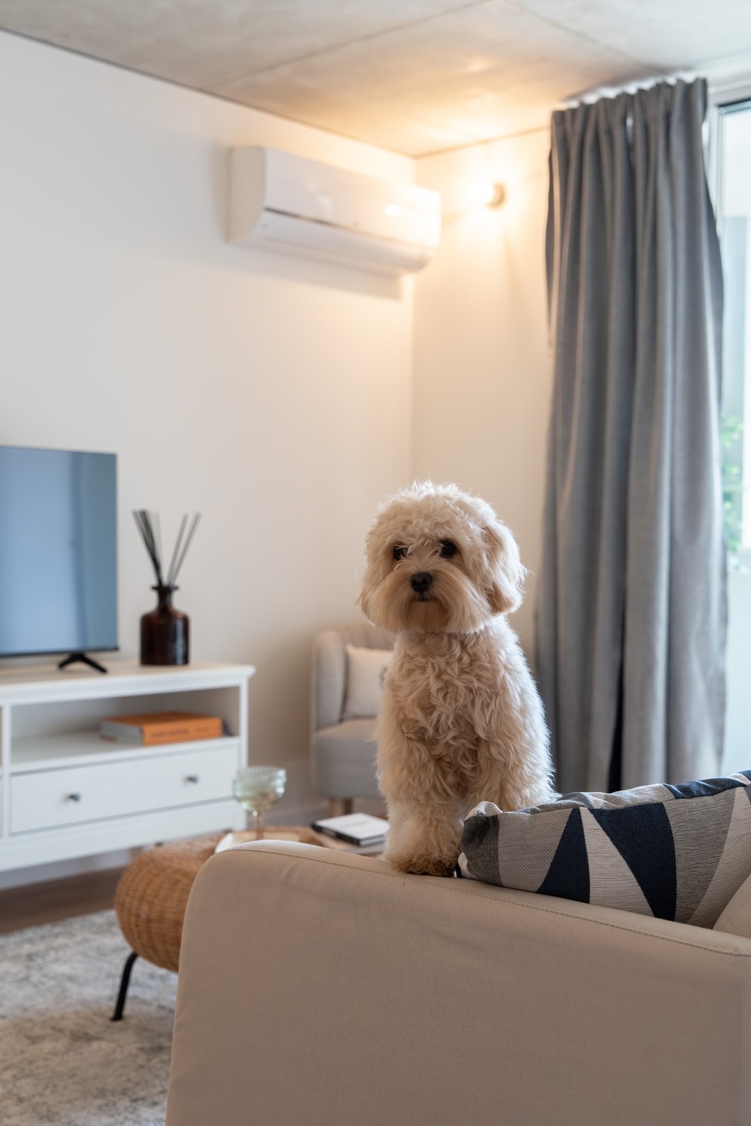 Stylish, Premium & Pet Friendly Flat by HostWise 60 Host Wise Booking