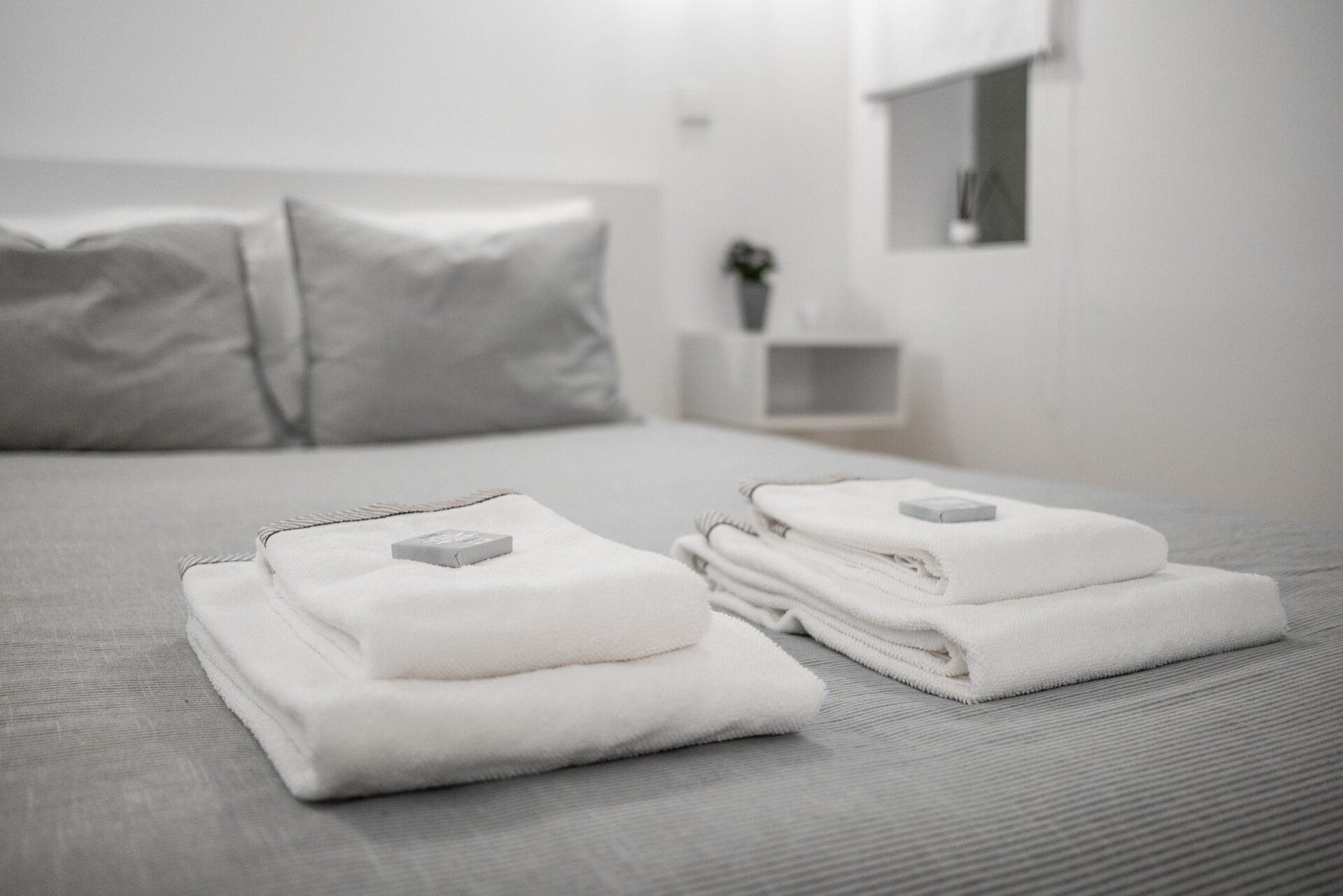 Host Wise | Sunny Downtown Apartment 7 Host Wise Booking