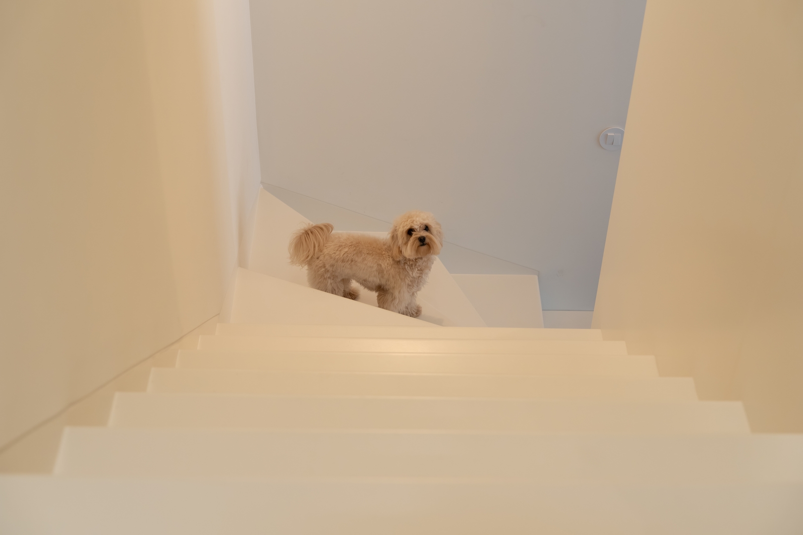 Stylish, Premium & Pet Friendly Flat by HostWise 54 Host Wise Booking