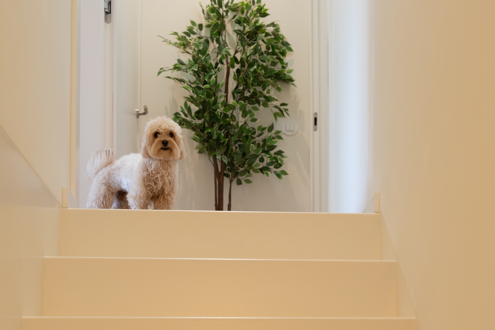 Stylish, Premium & Pet Friendly Flat by HostWise 53 Host Wise Booking