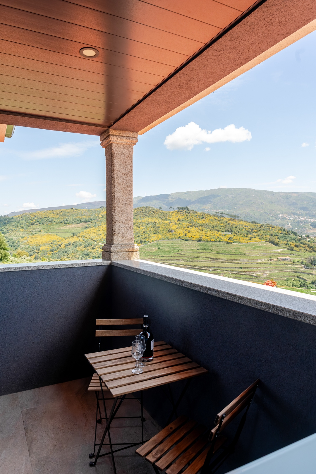 HostWise - 10BR Douro Villa with Pool 20 Host Wise Booking