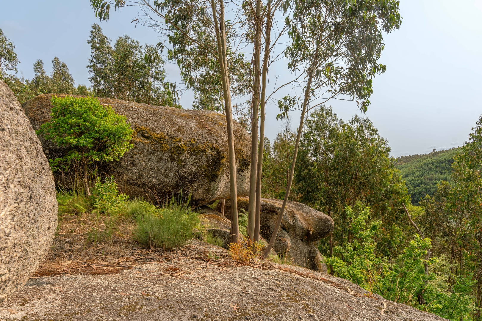 Quiet & Modern Villa w/ Pool & River by HostWise 45 Host Wise Booking