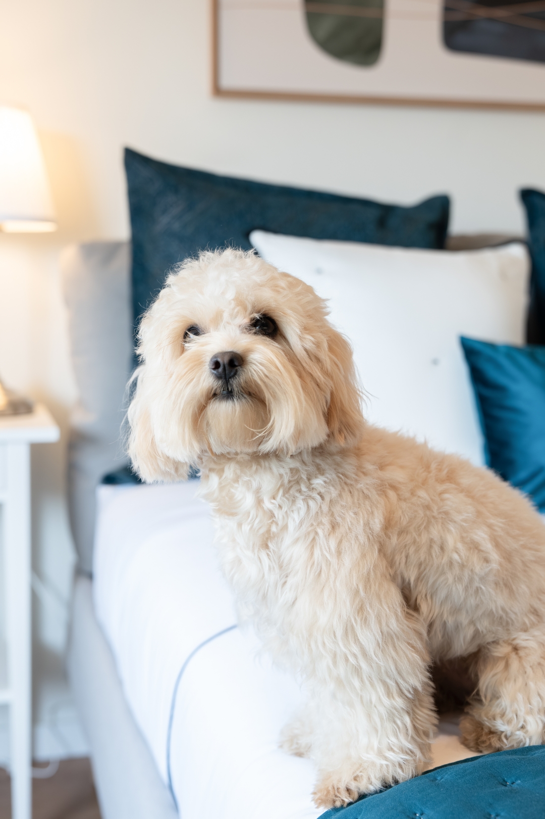 Stylish, Premium & Pet Friendly Flat by HostWise 10 Host Wise Booking