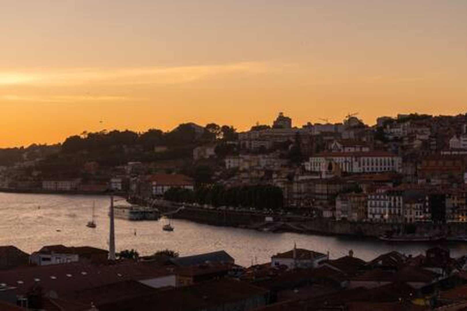 Comfy Sunny Flats| Ace Location by HostWise 16 Host Wise Booking