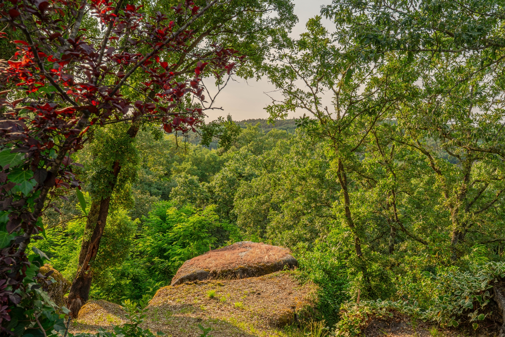 Quiet & Modern Villa w/ Pool & River by HostWise 55 Host Wise Booking