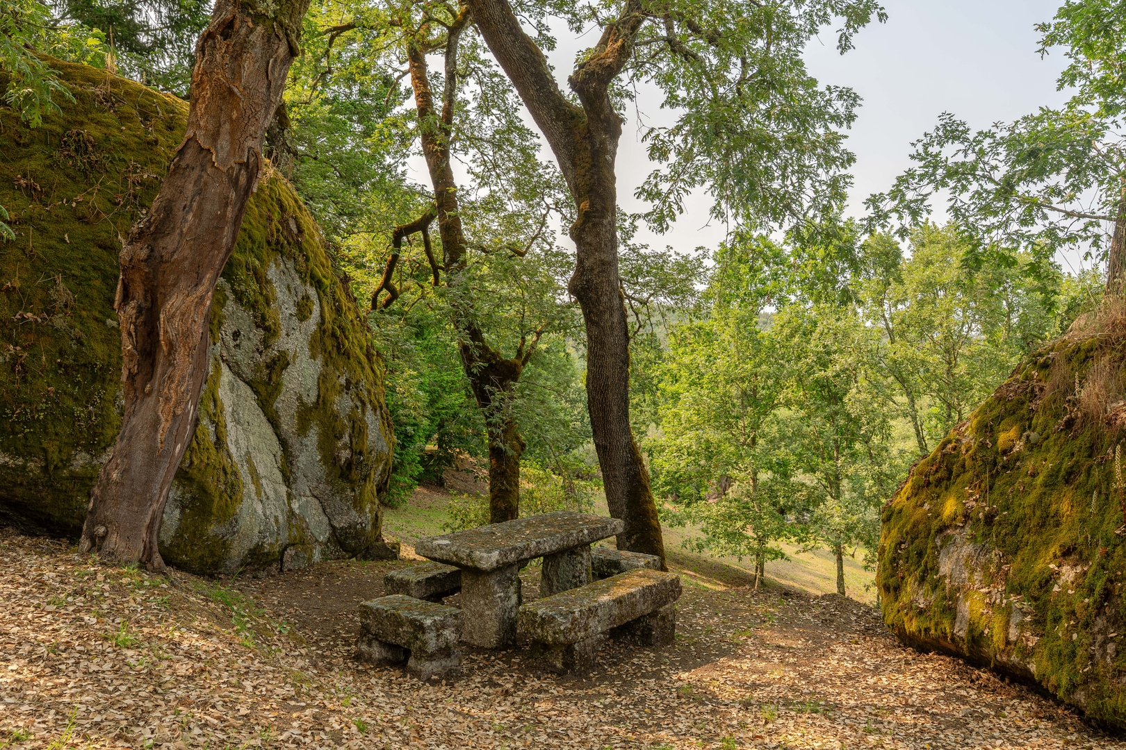 Quiet Escape by the River w/ Pool by HostWise 29 Host Wise Booking