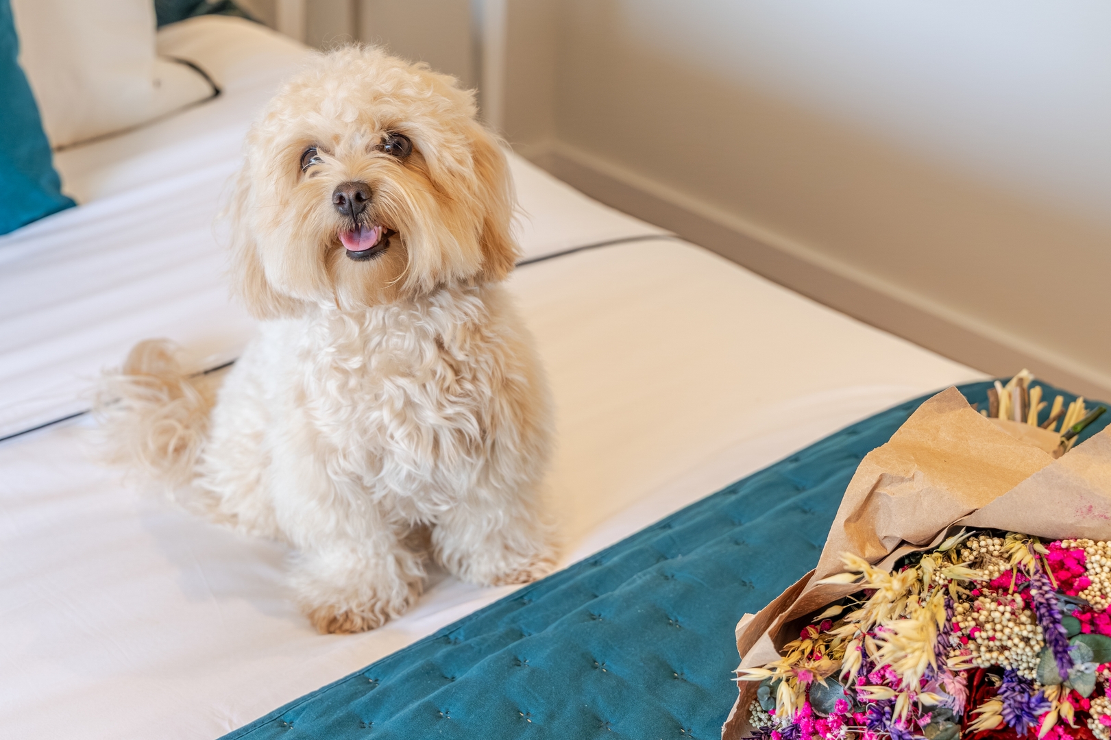 Stylish, Premium & Pet Friendly Flat by HostWise 9 Host Wise Booking