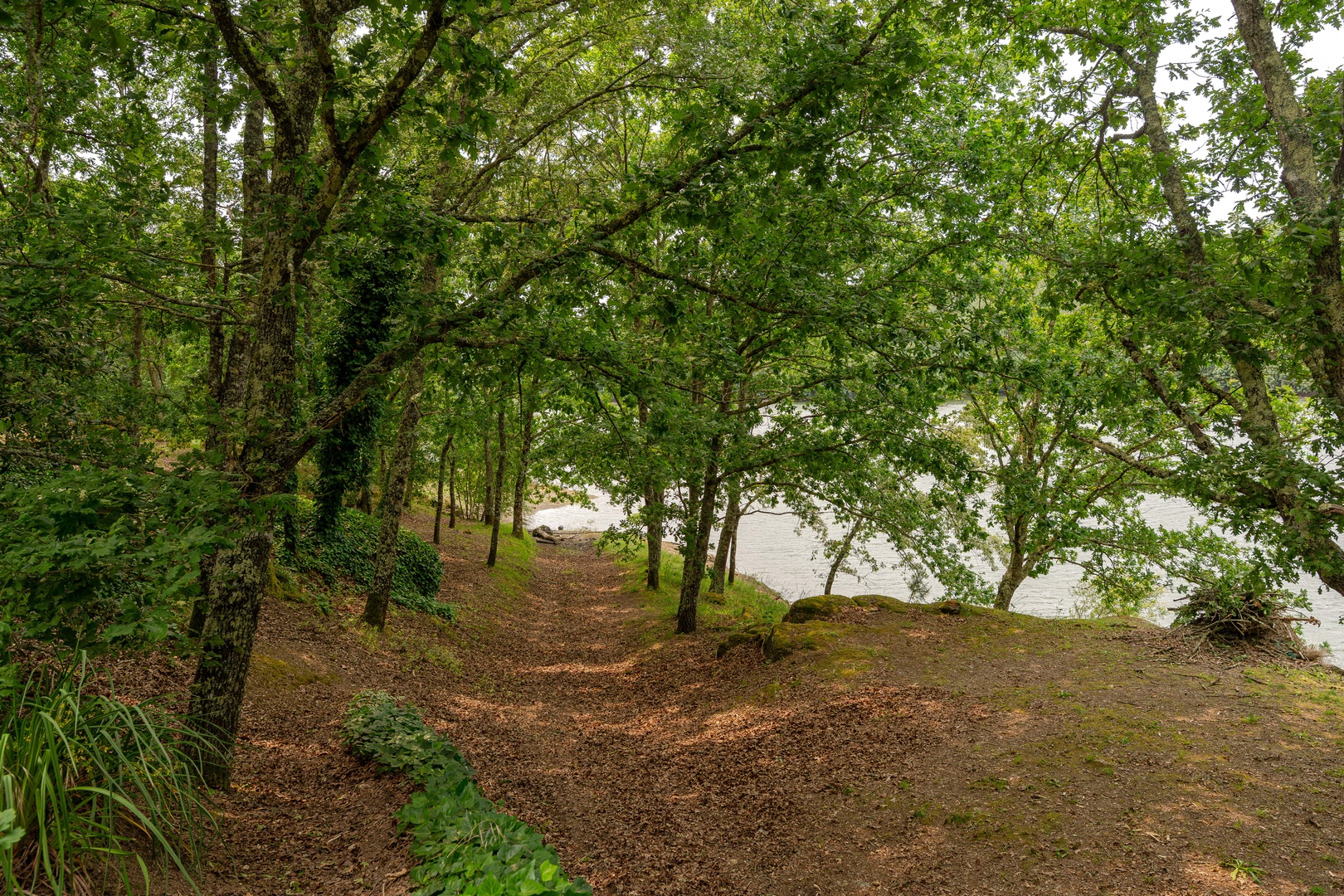 River View Retreat w/ Pool by HostWise 26 Host Wise Booking