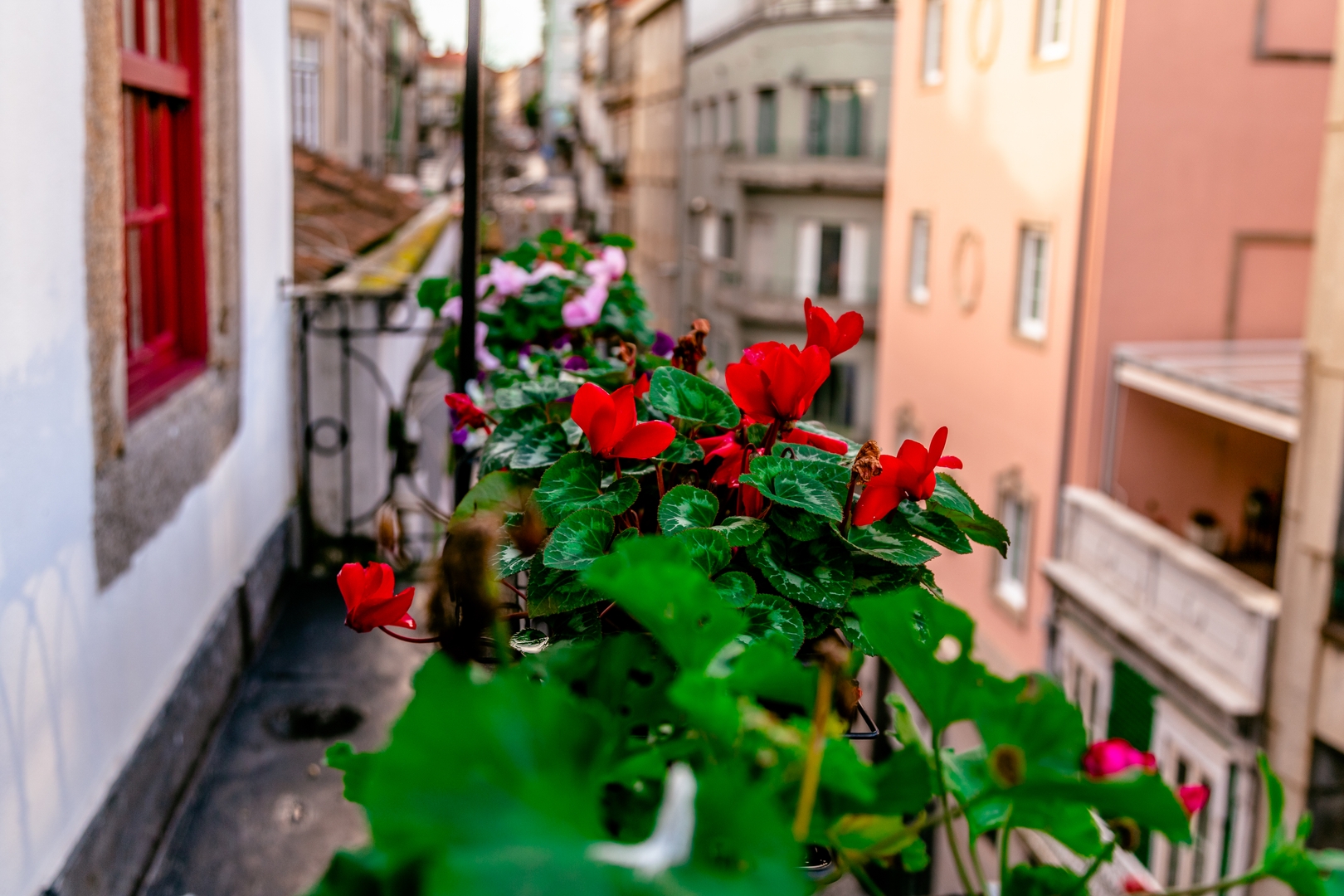 Designer Building Stay Near Clérigos by HostWise 29 Host Wise Booking