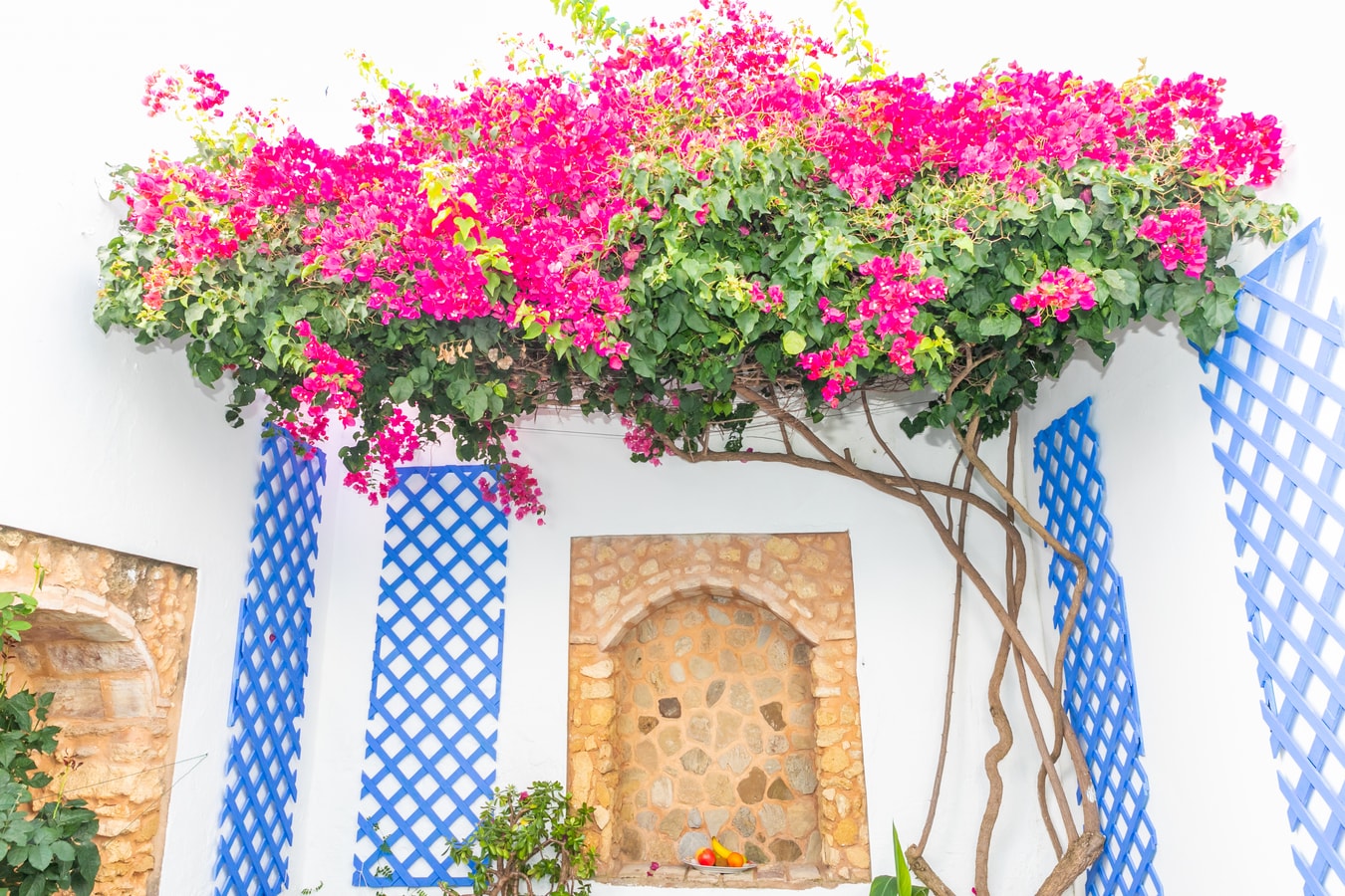 Casa Marinero | +Patio Andaluz 18 Sereno