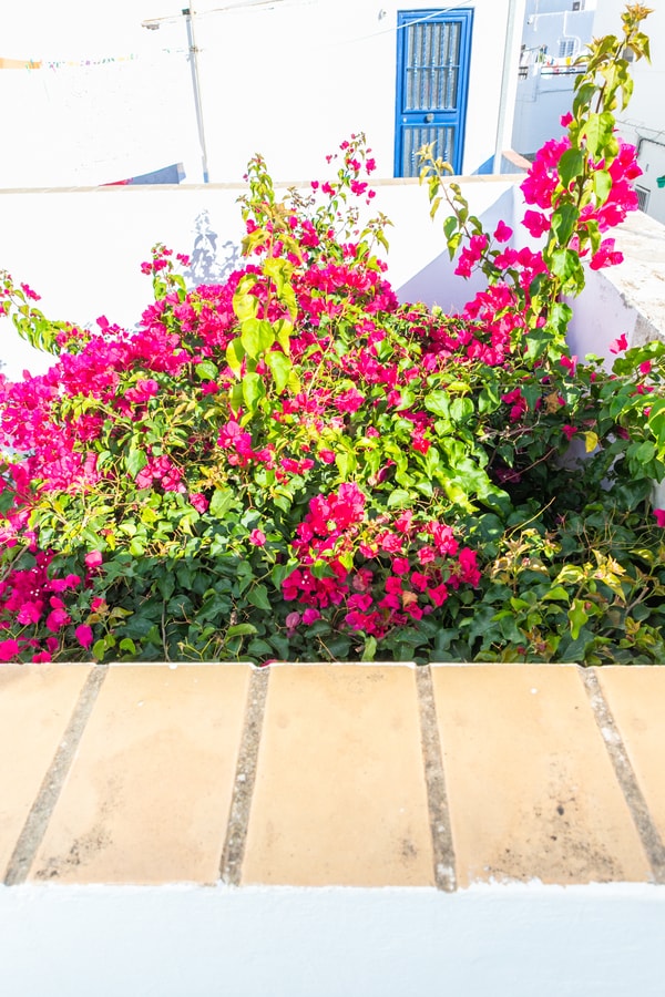 Casa Marinero | +Patio Andaluz 24 Sereno