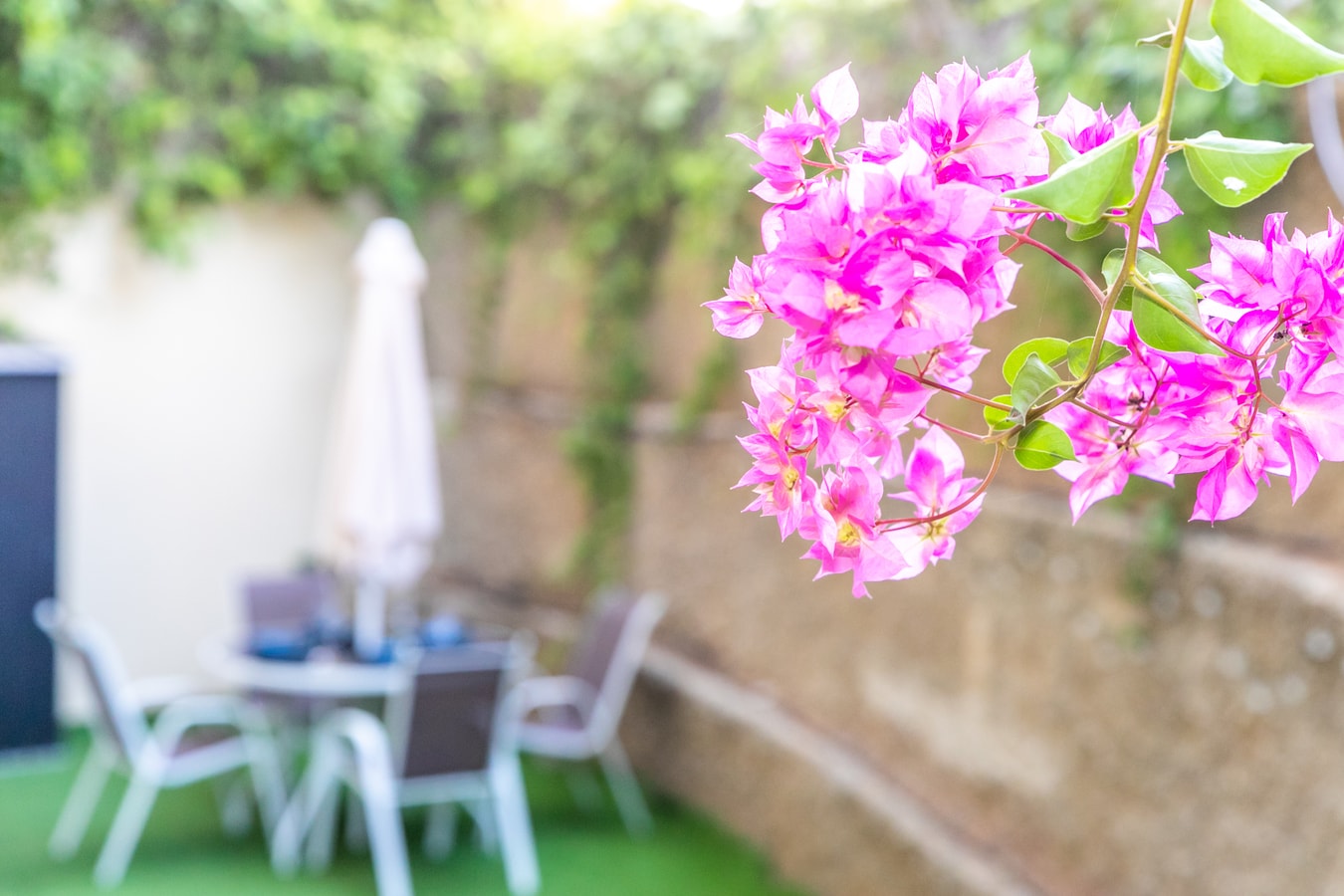Duplex Sereno 18 | Piscina, Garaje, Jardín y Playa 18 Sereno