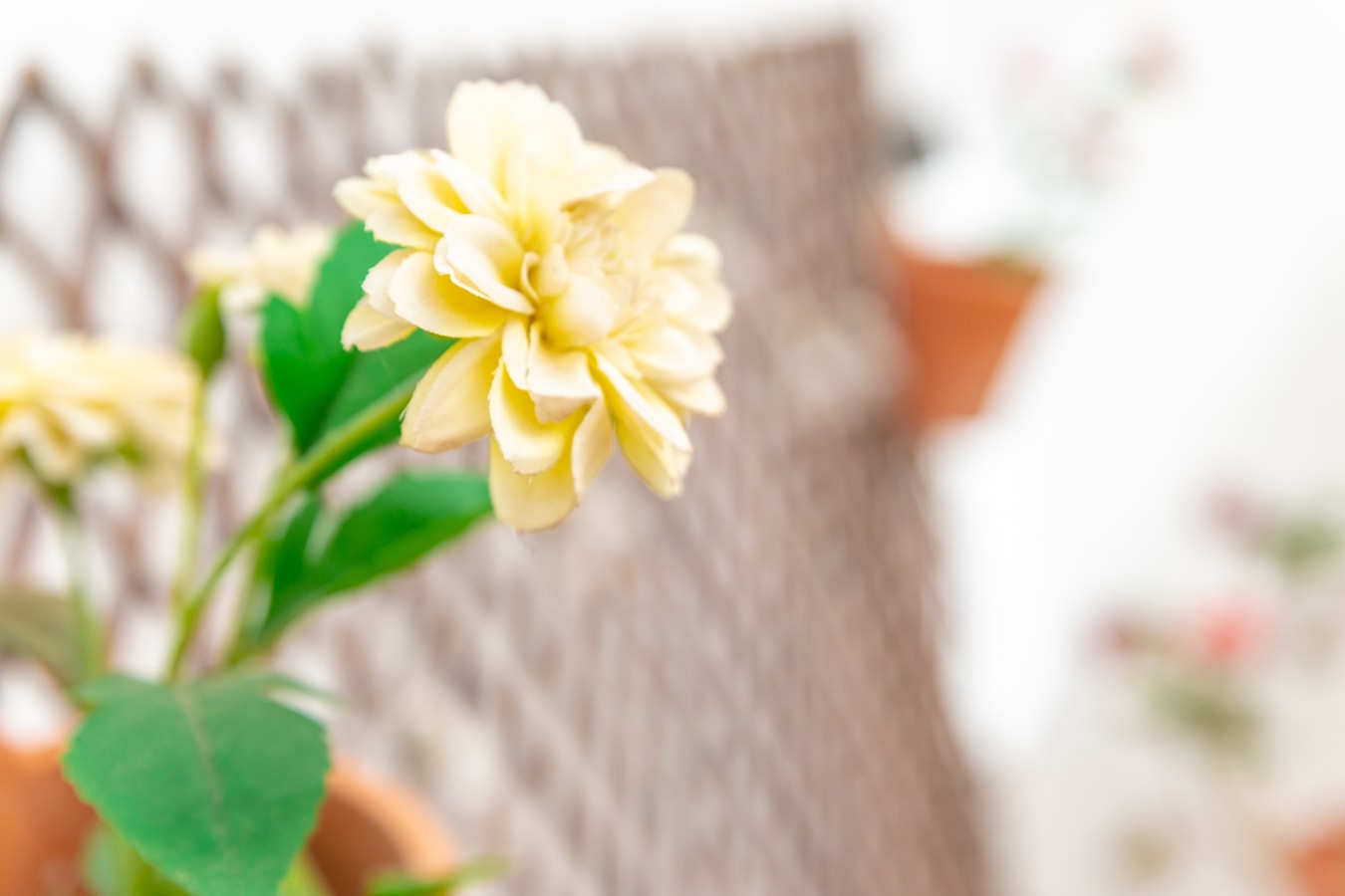 Casa Siroco | +Patio 14 Sereno