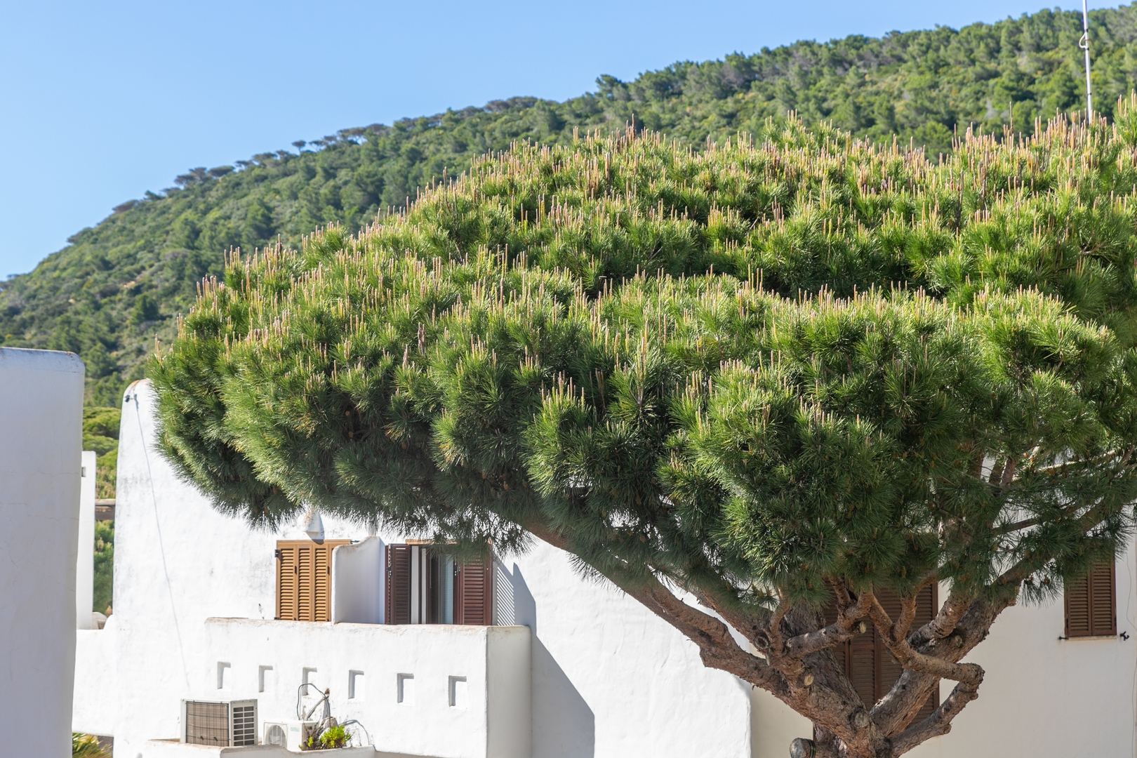 Adosado Nuevo con Piscina, Playa, Garaje y Jardín 30 Sereno