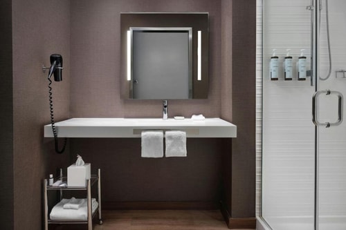 King Room Near Dallas World Aquarium DAL 3 Luxury Bookings