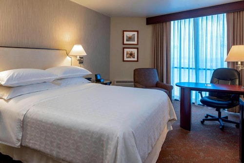 Queen Guest Room Near Dyer Stadium HOU 1 Luxury Bookings