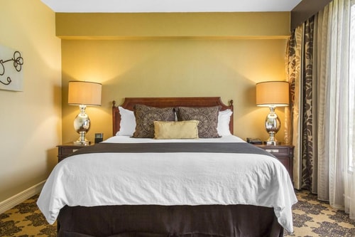 Deluxe Room Near Woodland Field Station HOU 2 Luxury Bookings