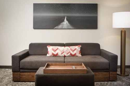 King Suite Near The Dallas World Aquarium DAL 5 Luxury Bookings
