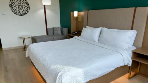 Standard King Room Near NRG Stadium HOU 3 Luxury Bookings