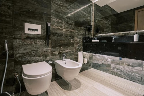 King Or Twin Room Pet Allow Near Dubai Creek Plaza 4 Luxury Bookings