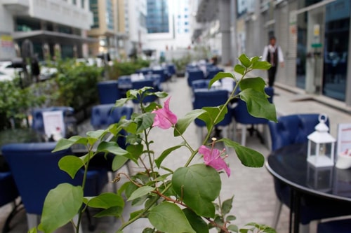 1 Bedroom Apartment near Abu Dhabi bank Alnahyan 9 Luxury Bookings