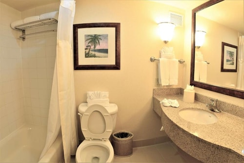 King Room Near Arthur Storey Park HOU 5 Luxury Bookings