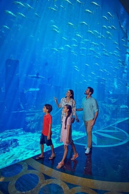King Room At Palm Jumeirah By Luxury Bookings 20 Luxury Bookings
