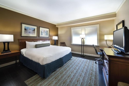 Standard King Room Near Harmonica Man Park HOU Luxury Bookings