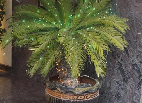 1 Bedroom Suite Near Modern Basket Laundry Branch 11 Luxury Bookings