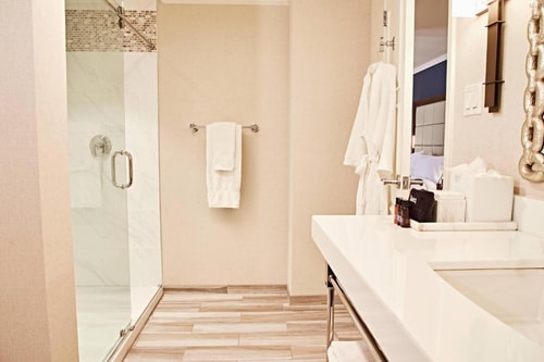 Deluxe Guest Room Near AT&T Headquarters DAL 5 Luxury Bookings