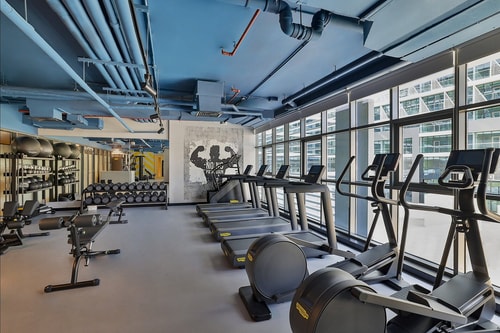 Studio Apartment Near Nakheel Mall Palm Jumeirah 8 Luxury Bookings