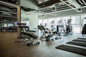 The Apartment Near Emaar Business Park The Greens 8 Luxury Bookings